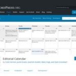 Editorial Calendar